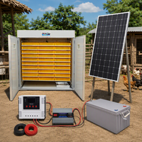 Incubateur solaire entièrement automatique et éclosoir 5280 oeufs prix de gros tout nouvel équipement d'utilisation de ferme de machine d'élevage d'animaux