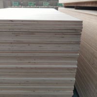 Plaques de contreplaqué de qualité HENF de 18 mm, entièrement séchées au four, à âme pleine, entièrement conditionnées, pour la production de meubles et la décoration intérieure
