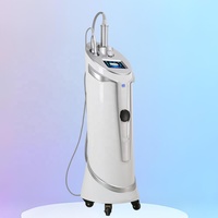 Rouleau de massage professionnel 360° pour le visage, les jambes/bras, la perte de poids, le lifting du visage, la réduction de la cellulite