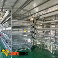 Cages de Poules Pondeuses en Batterie Agrieso Galvanisées à Chaud, 3/4 Niveaux, Type H avec Système de Collecte des Œufs et d'Évacuation du Fumier