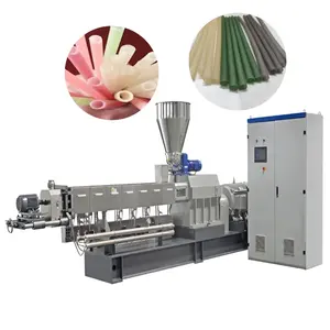 Shengrun machine de fabrication de paille de riz comestible industrielle fabricant ligne de production de paille de manioc/riz/pâtes alimentaires à vendre