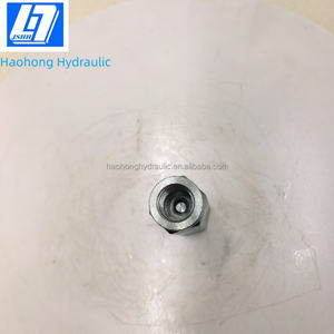 Katup Kontrol Arah Haohong VU-G 2 650 L/mnt 350bar 2 Port Masuk G2 - Product Image 2