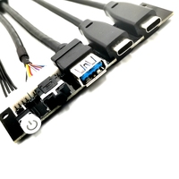 Cable de conexión interno de la computadora PC Madre USB33.0 y conector de AUDIO HD hembra tipo C Cable del panel frontal de la caja de la computadora PC