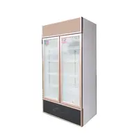 2 cam kapılar 500L ticari ekran dondurucu bira buzdolabı/dondurucu