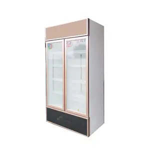 frigorífico 2 portas Suppliers-2 portas de vidro 500l visor comercial congelar cerveja geladeira/congelador