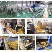 Commercial automatique légumes banana chips de pommes de terre faisant la machine ligne de production alimentaire ligne de traitement