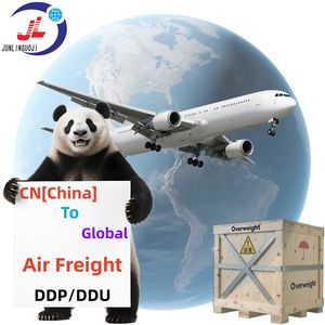 Servizi DDP/DDU di logistica globale in sovrappeso/sovradimensionato più sicuro/più veloce/economico FCL/LCL Express/autotrasporto aereo merci - Product Image 1