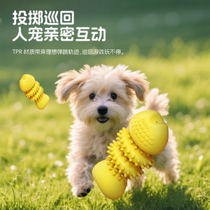 Jouet à mâcher pour animaux de compagnie en forme d'arête de poisson, petit jouet anti-ennui en TPR pour chiens, utilisation en intérieur - Product Image 2
