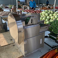 Multifunctionele Groene Ui Groente Chopper Groente En Fruit Snijmachine