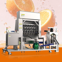 Industriële koudgeperste hydraulische schroefpers voor sap |   Roestvrij staal, hoge sapopbrengst, fruit en groenten |   OEM-fabriek