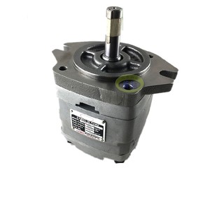 ปั๊มไฮดรอลิกแบบลูกสูบ CML รุ่น IGH IGM IGC ซีรีส์ IGC-4F-32-R IGM-5F-50-R-21 IGP4-H025 IGM-6E-125 IGM-6E-100 - Product Image 4