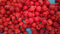 Machine d'extraction de graines de fruits, appareil Commercial pour enlever les semences, les Olive, les cerises, prix d'usine