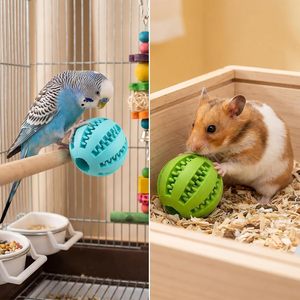 Pet Product <b>Dog</b> Treat Rolling Slow Food Pet <b>Ball</b> Interactive Toy Teeth Cleaning <b>Dog</b> Chew <b>Ball</b> Toy - Product Image 6