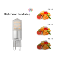 Ampoule LED SMD 3W en gros du fabricant, mini lampe sans scintillement, AC 220-240V, économie d'énergie, culot G9 pour décoration intérieure