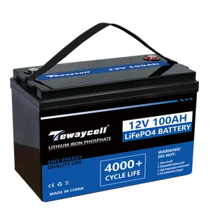 Pack de batterie LiFePO4 rechargeable à cycle profond 50ah 100ah 150ah 200ah Pack de batterie 12V 24v 36v 48v Lfp4