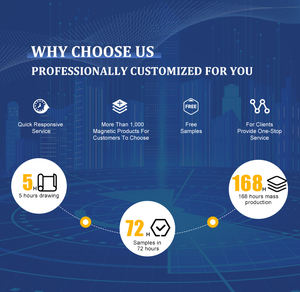 Venta directa de fábrica Sus304 Adaptador Conector de cable de alimentación magnética Cable de carga rápida de 2 pines - Product Image 3