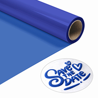 Rouleaux de vinyle thermocollant 3D gonflant en film PU personnalisé pour textiles, épaisseur 400 µm, haute température, facile à découper et à désherber