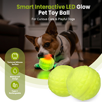 Nouveauté, jouet interactif brillant dans le noir IPx7 en silicone de qualité alimentaire pour chiots, lumière LED RGB, boule en silicone pour chien