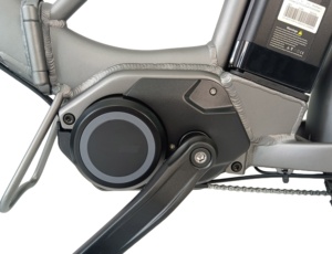QUEENE/Nueva Bicicleta Eléctrica Plegable con Llantas Anchas y Marco Bajo, Bicicleta Eléctrica Plegable de 20 Pulgadas con Batería de 20AH - Product Image 3