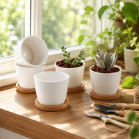 Mini-pots d'intérieur en grès au design le plus récent pour plantes