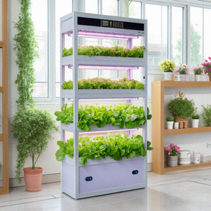 Sistema de Cultivo Hidropónico Vertical, Granja Inteligente de Vegetales para Interiores con Luz LED de Cultivo - Product Image 3