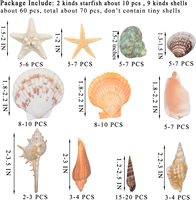 Coquillages de plage mixtes coquillages de différentes tailles coquillages naturels et 2 types d'étoiles de mer naturelles pour décor de fête sur le thème de la plage