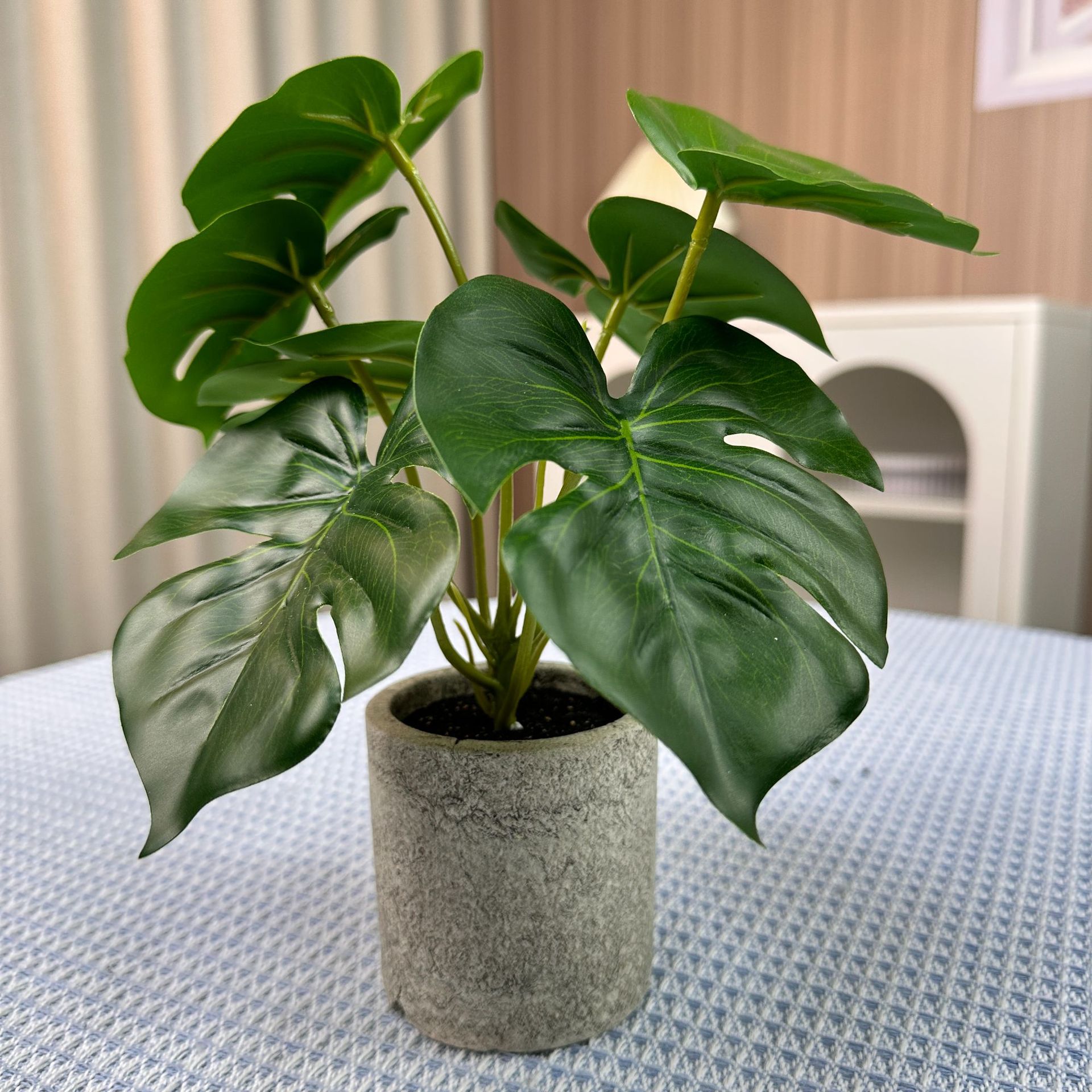 Petite plante en pot monstera de 20 cm - sensation de main
