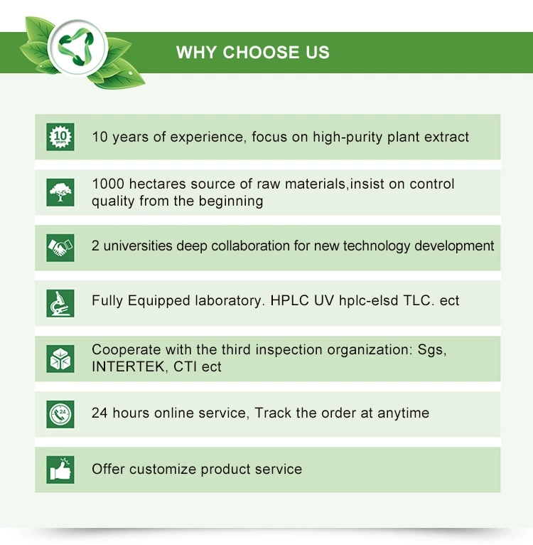 Polygonum Cuspidatum Extract Resveratrol 98% powder