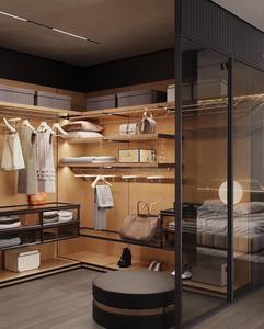 Cửa tủ quần áo trượt bằng gỗ cao cấp hiện đại với thiết kế bền chắc dành cho phòng ngủ và phòng thay đồ trong biệt thự - Product Image 3