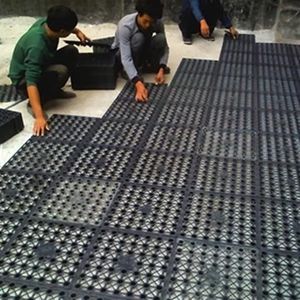 Produits <span class=keywords><strong>de</strong></span> vente en gros : Feuille/planche <span class=keywords><strong>de</strong></span> drainage simple pour jardin sur toit vert, <span class=keywords><strong>prix</strong></span> usine - Product Image 5