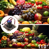 Mini caméra USB 5MP avec microphone, capteur CMOS IMX335, 110 °   Objectif grand angle sans distorsion, module caméra 30FPS