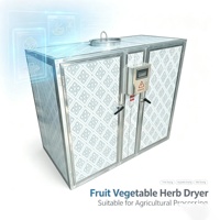 Kleine serie hetelucht-schaaldroger voor vis, fruit, groenten en cocoyam-wortels