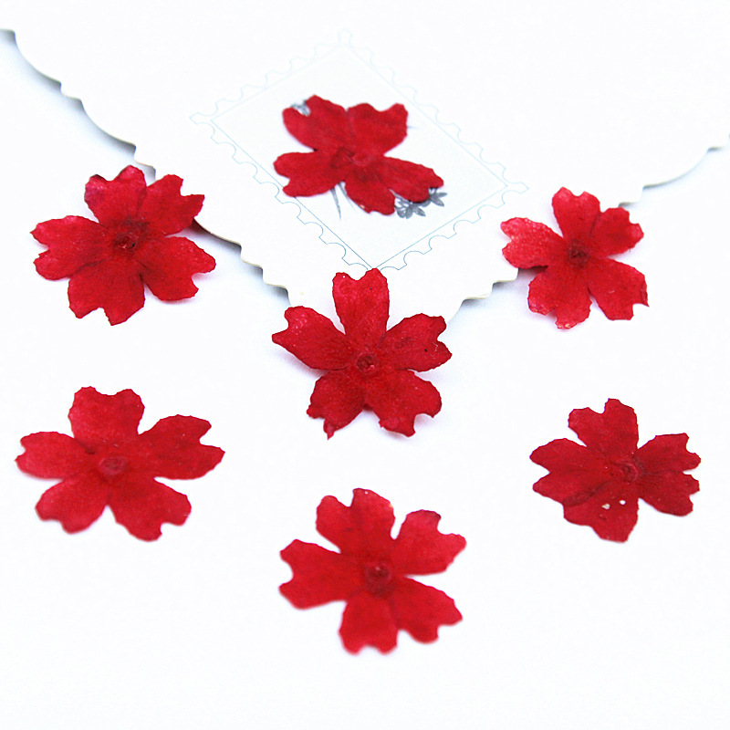 Red 100pcs