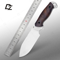 Couteau à éplucher les fruits multifonctionnel en acier inoxydable, couteau de poche en bois avec logo personnalisé pour le camping, support OEM, vente en gros