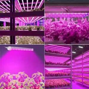 T8 LED Quang Phổ Đầy Đủ Phát Triển Đèn 60Cm/90Cm/120Cm Nhà Máy Trong Nhà Phát Triển Ánh Sáng Cho Rau Hoa Đánh Fruits-IP65 - Product Image 3