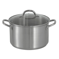 Marmite à soupe en acier inoxydable pour cuisine de restaurant, compatible induction, 24 cm, avec couvercle en verre