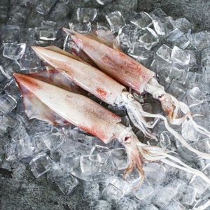 ปลาหมึกทะเลปลาหมึกทั้งตัวแบบทำความสะอาด - Product Image 1