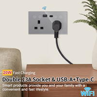 Venta al por mayor personalizado Reino Unido 86*146mm Alexa doble 13A zócalo de vidrio 2 + tipo C 20W carga rápida pared Tuya Smart Wifi enchufes