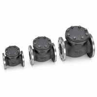 Vanne de retenue à corps moulé, à disque oscillant, à couvercle boulonné, à extrémités à brides, API 594 Classe 150 A216 WCB, pour usine de traitement chimique, directement de l'usine