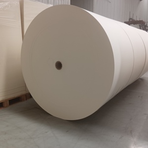 Papel Recubierto de PE para Envolver Alimentos, Rollo de Papel para Envolver Tazas - Product Image 2