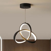 Décoration de restaurant de magasin d'intérieur de bonne qualité allumant la suspension en acier inoxydable de titane pour la maison de restaurant de bureau