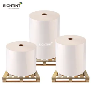 Flexografia Tempo de Entrega Rápido Inspeção De Fábrica Livre Etiqueta Flexo Impressão Papel Jumbo Roll Label Wholesale Outlet Factory