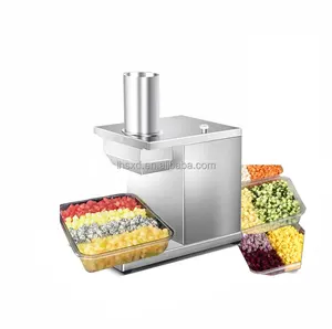 Dicing machine for commercial vegetables and fruits