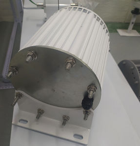 Generador Magnético de Baja Velocidad 3000w 3kw PMG - Product Image 3