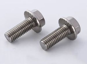 Pernos hexagonales con brida de acero inoxidable DIN6921 SS304 316 M5 M6 M8 M12 M14 M16 - Product Image 4