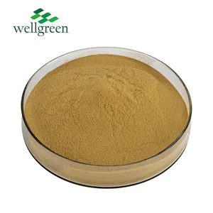 Wellgreen Main Product Sulforaphane Glucoraphanin Supplements Use Broccoli Seed Broccoli Extract Powder