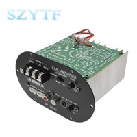 S80B 12V 120W/500W voiture Subwoofer carte amplificateur de basse Tritone Pure Sound ICs pour 8-12 pouces Tube Core