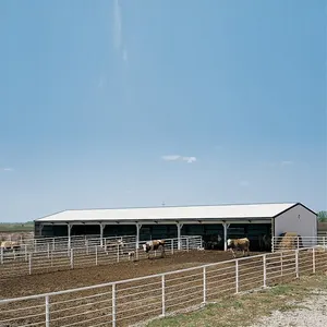 乗馬鉄骨構造プレハブ馬小屋の中にスポーツホールを構築する