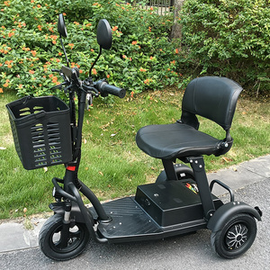 Triciclo Eléctrico Plegable desde Almacén en UE Batería de Plomo-Ácido de 36V 10A Conducción Fácil Velocidad 25KM/H Patinete Eléctrico de Movilidad de 3 Ruedas para Adultos - Product Image 1