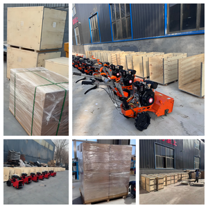 Motoculteur de Verger <span class=keywords><strong>Mini</strong></span> 8HP 178F Diesel avec Broyeur, Transmission à Lanceur, Personnalisé, Durable, Efficace et Haute Performance - Product Image 6